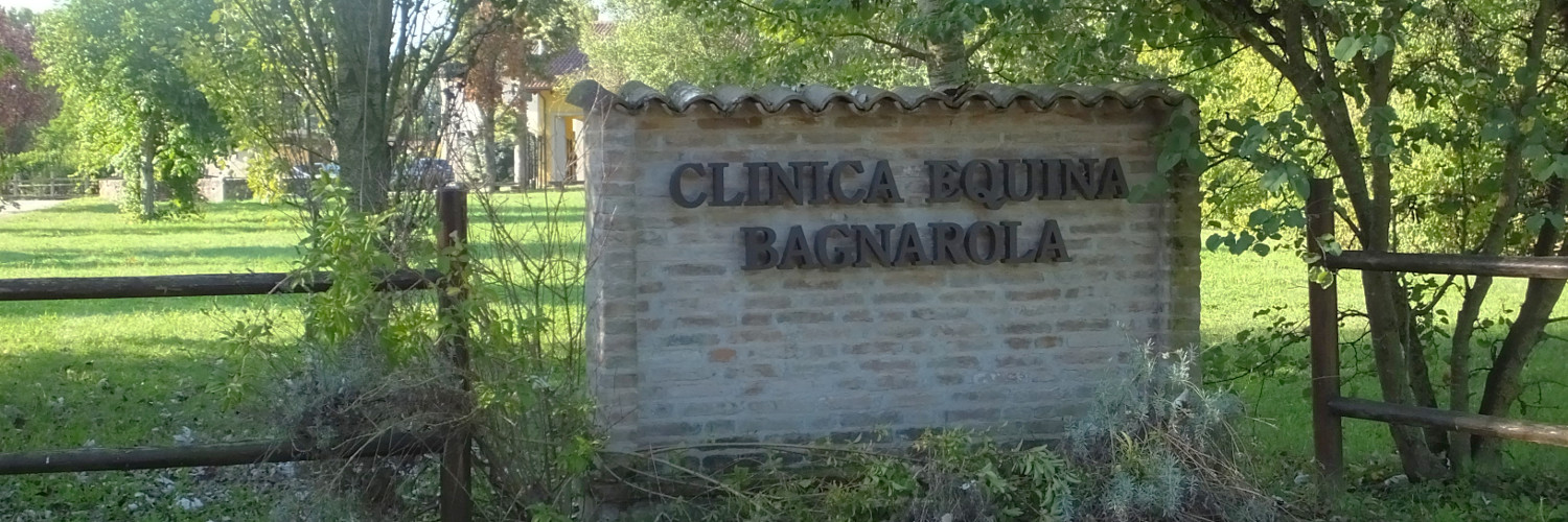 Clinica Equina Bagnarola